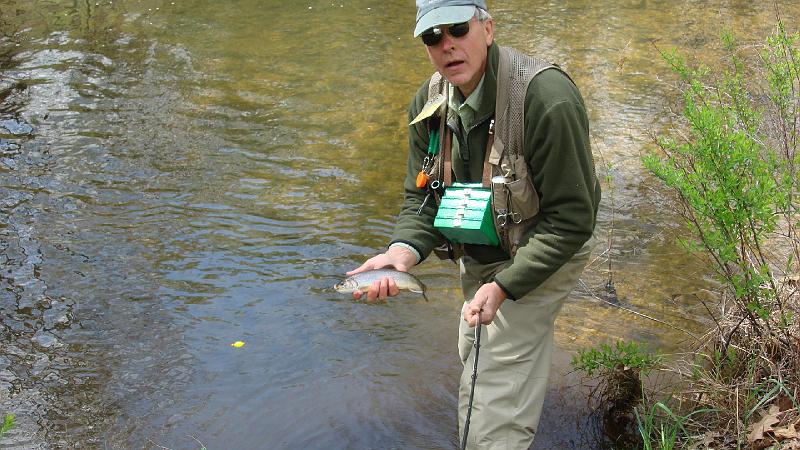 White Deer Brookie.JPG